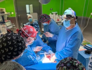 Nowoczesna transplantologia: serce dla Oliwii z Litwy. Sukces lekarzy z UCK WUM