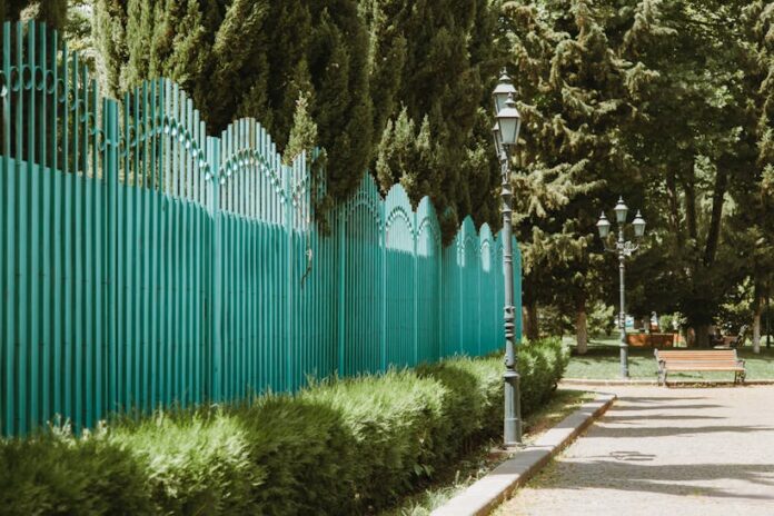 park zieleń zdrowie