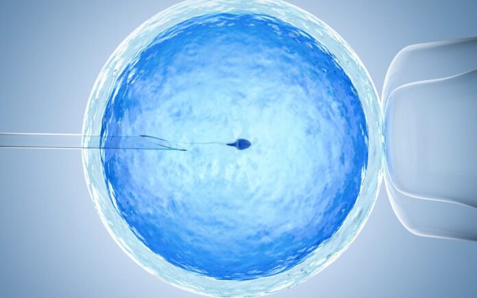 Rządowy program refundacji in vitro – co trzeba wiedzieć?