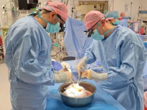 Transplantacja płuc u 77-latka! SCCS w Zabrzu przekracza kolejną granicę