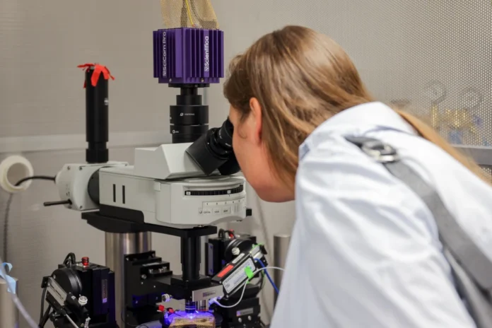 BRAINCITY startuje z projektem leczenia padaczki, depresji i uzależnień. 30 mln zł z Funduszy Europejskich