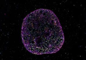 Odkryto ukryty język DNA! “Kod geometryczny” pomaga DNA w obliczeniach i zapamiętywaniu