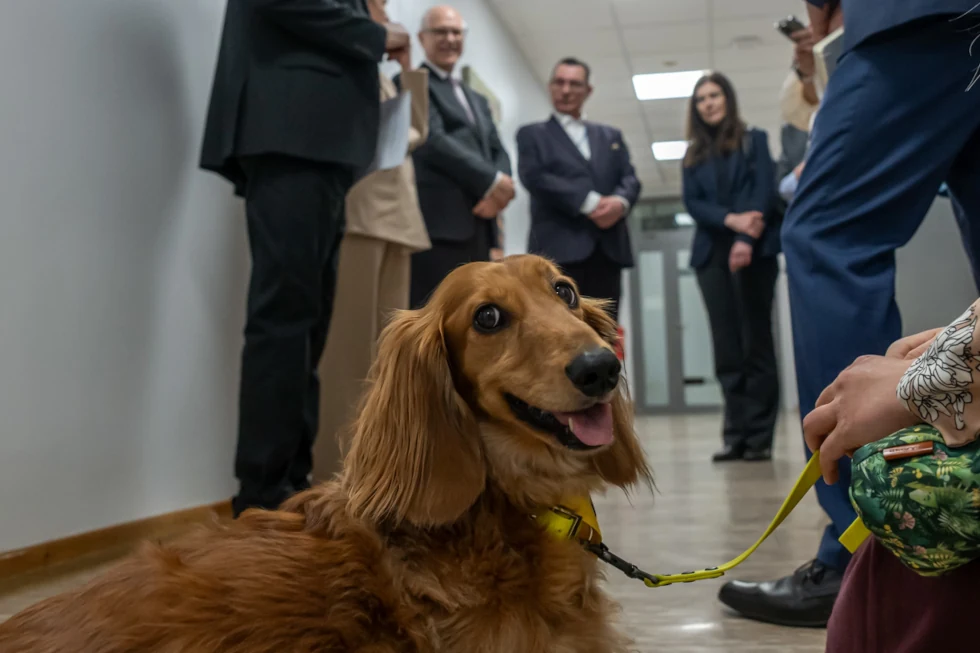 Dogoterapia w Klinice Medycyny Paliatywnej WUM