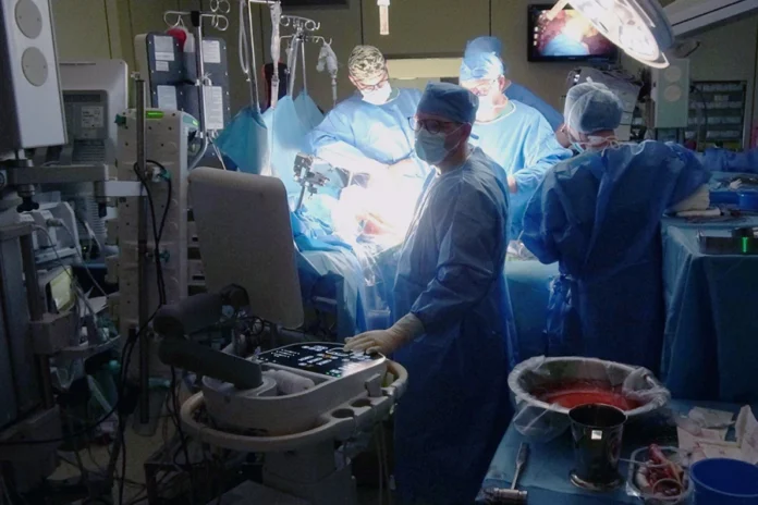 Autotransplantacja wątroby na WUM. Nowa technologia HOPE w praktyce