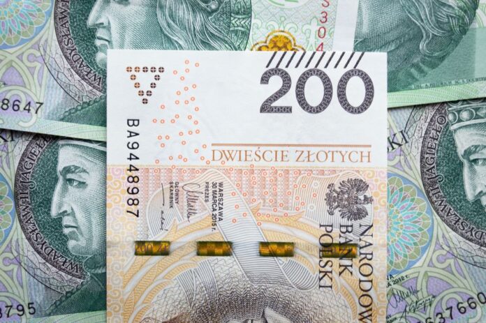 polskie pieniądze złotówki