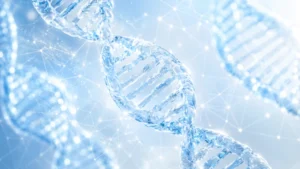 Nieznane białko chromosomu X może napędzać rozwój kilku nowotworów. Nowe odkrycia